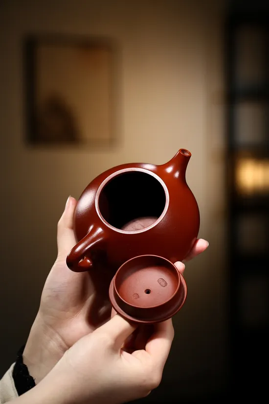 Premium Yixing Clay Teapot | Handcrafted Artisan Zisha Teapot 2