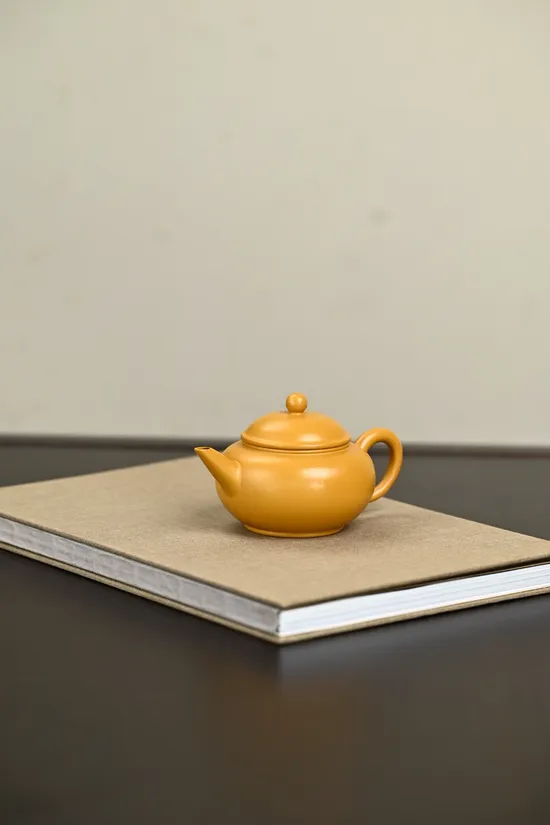 Premium Yixing Clay Teapot 150cc | Handcrafted by Artisan Sun Jianfang 5