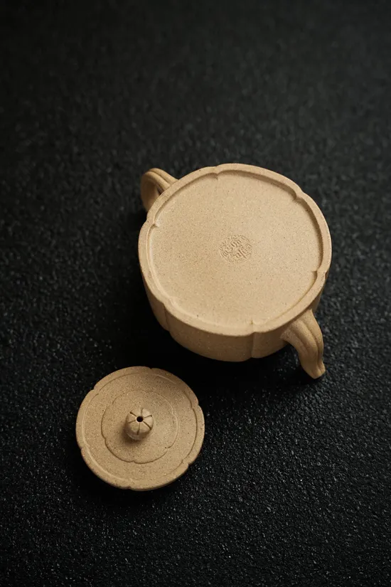 Premium Yixing Clay Teapot | Handcrafted Zisha Teapot 200cc 2