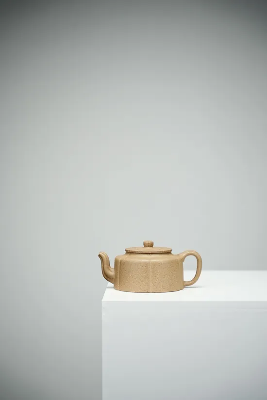 Premium Yixing Clay Teapot | Handcrafted Zisha Teapot 200cc 6