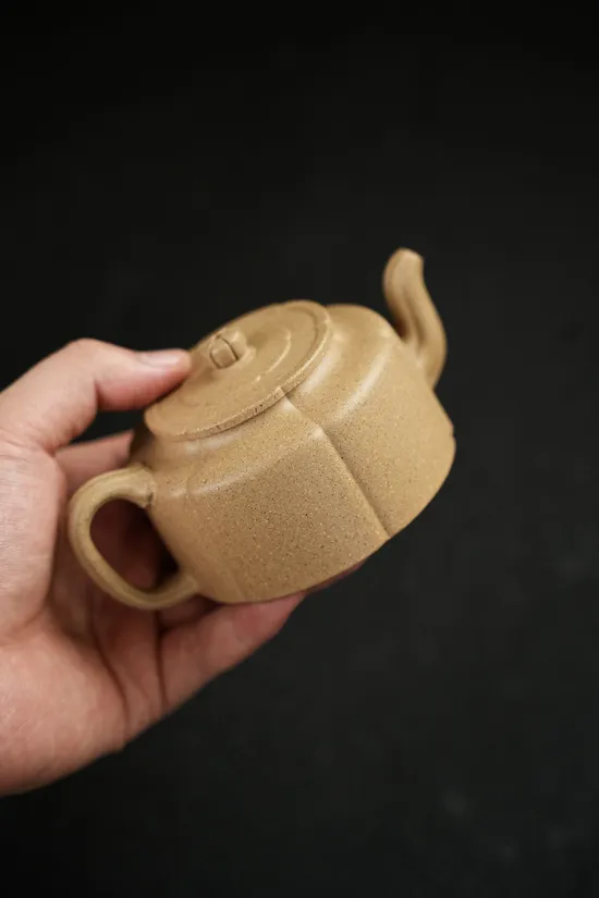 Premium Yixing Clay Teapot | Handcrafted Zisha Teapot 200cc 8