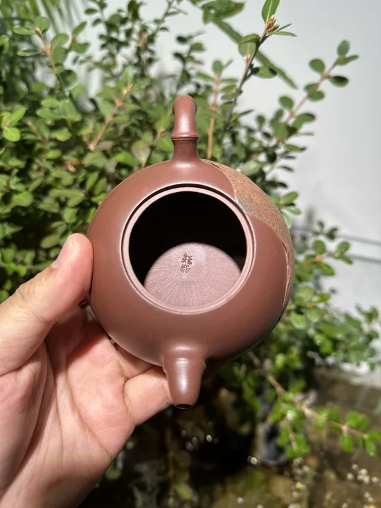 Zisha Teapots: Di Cao Qing clay | bamboo joint handle 1