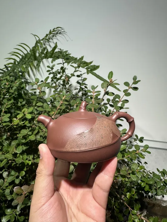 Zisha Teapots: Di Cao Qing clay | bamboo joint handle 3