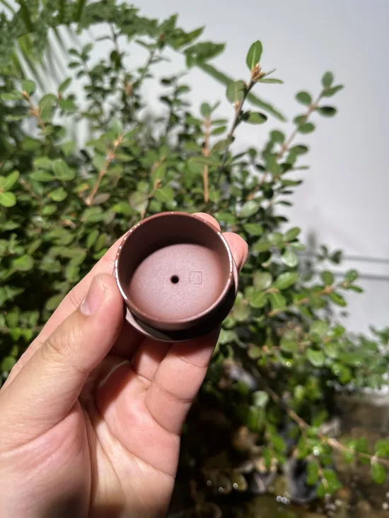 Zisha Teapots: Di Cao Qing clay | bamboo joint handle 5