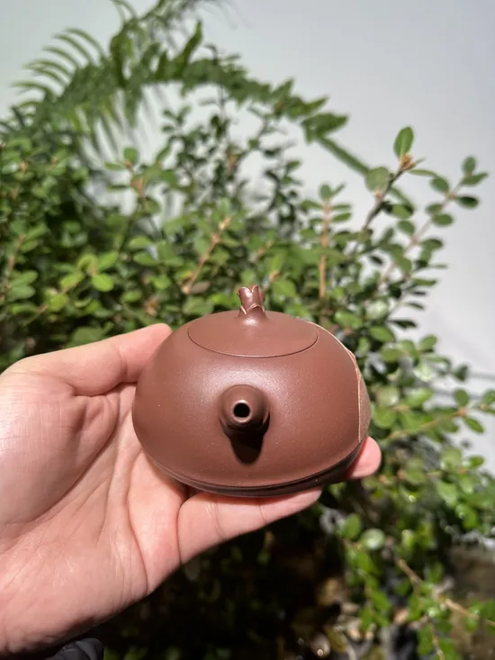Zisha Teapots: Di Cao Qing clay | bamboo joint handle 7
