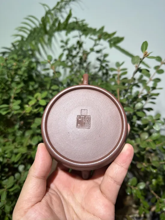 Zisha Teapots: Di Cao Qing clay | bamboo joint handle 8