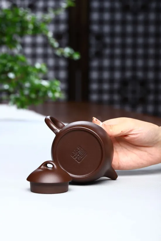 Zisha Teapots: rare stone red clay | Master Wang 1