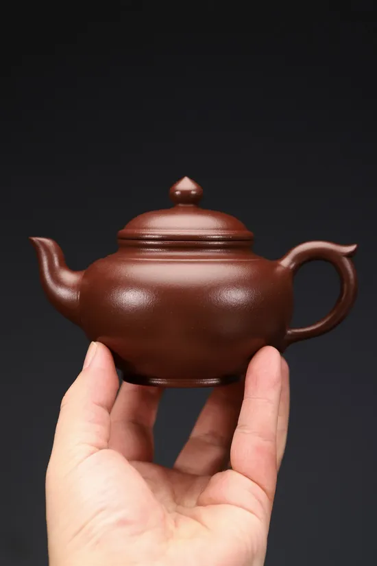 Premium Yixing Zisha Teapot Handcrafted Clay Artisan Craft 4