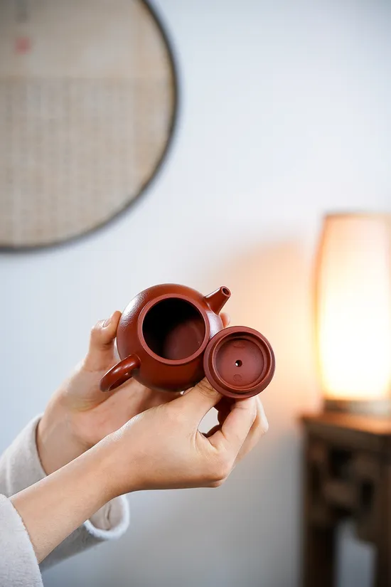 Premium Yixing Zisha Clay Teapot | Authentic Handcrafted Artisan Pottery 5