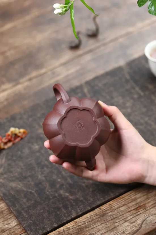Premium Yixing Teapot | Artisan Zisha Clay Teapots by Master Jiang Yaping 2