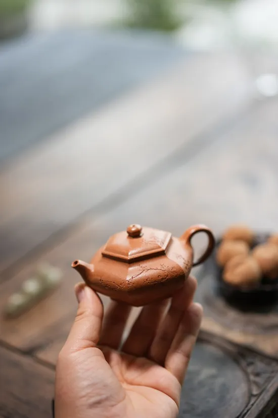 Premium Yixing Clay Teapot | Handcrafted Artisan Teapot for Tea Lovers 4