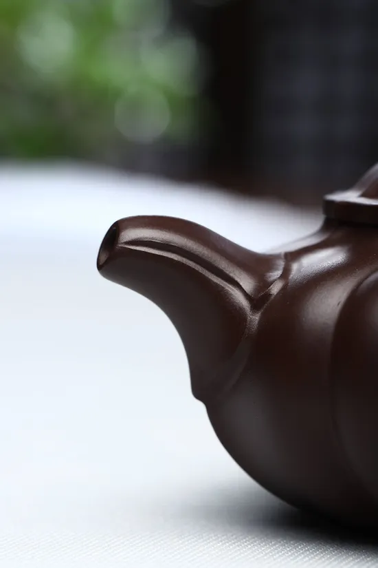 Premium Yixing Zisha Teapot | Handcrafted by Master He Qixian 1