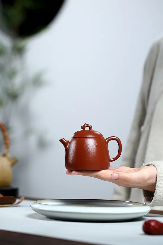 Zisha Teapots: Prosperous Dragon Qin Quan | Dahuangpao clay 4
