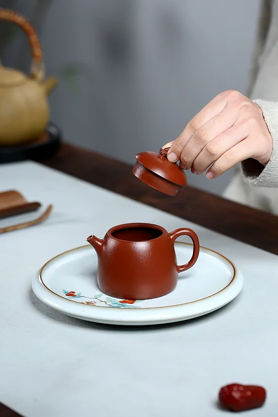 Zisha Teapots: Prosperous Dragon Qin Quan | Dahuangpao clay 6