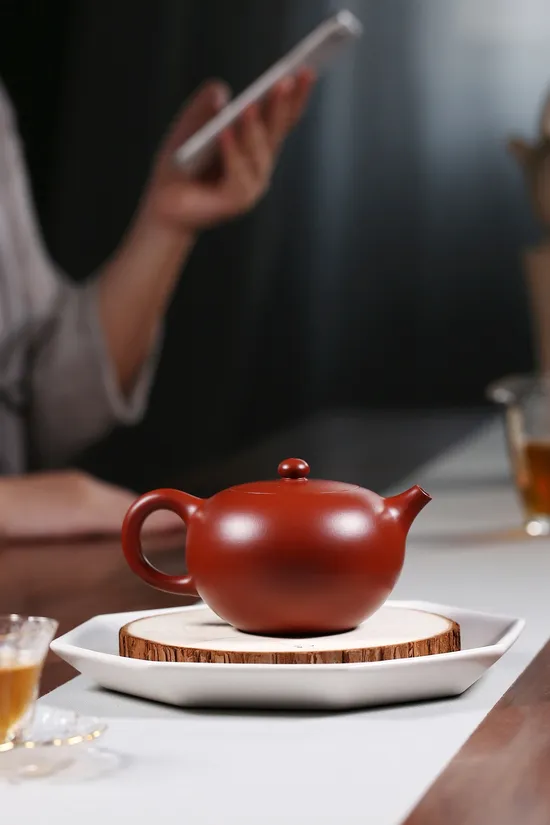 Handcrafted Yixing Clay Teapot | Artisan Zisha Teapot for Traditional Brewing 4