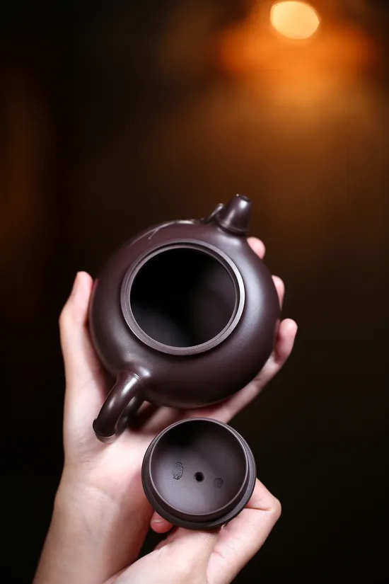 Handcrafted Yixing Zisha Teapot – Authentic Clay Artisan Pottery 4