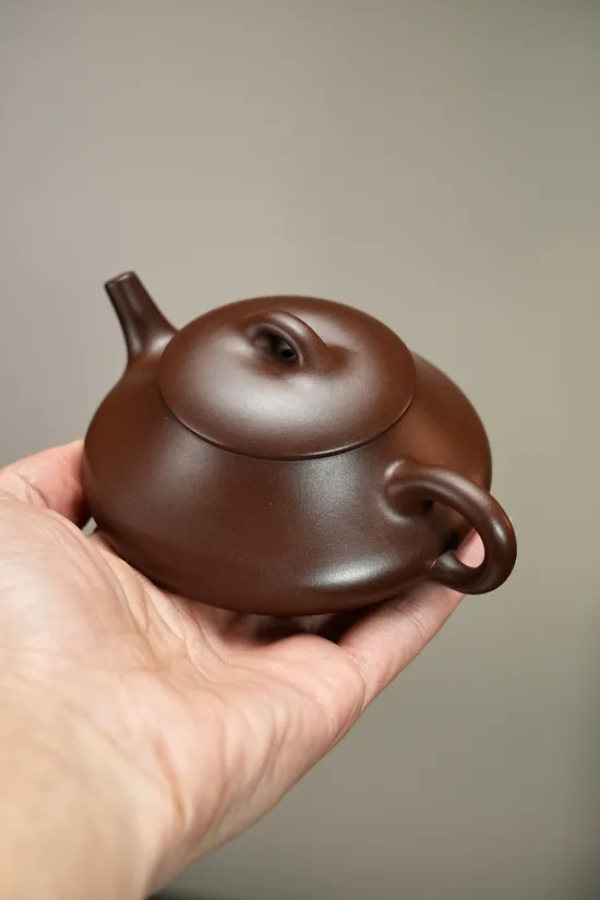 Yixing Zisha Clay Teapot | Handcrafted 160cc 9-Hole Filter 6