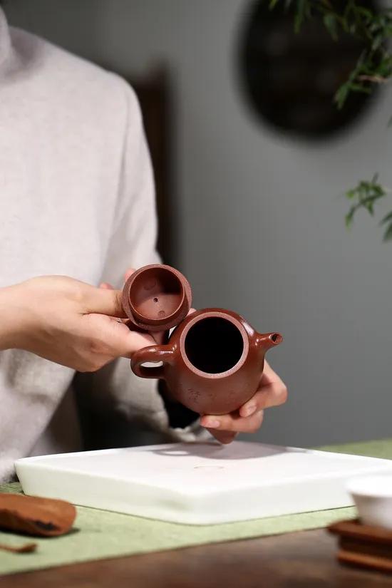 Premium Yixing Clay Teapot | Qin Quan Design & Craftsmanship 6