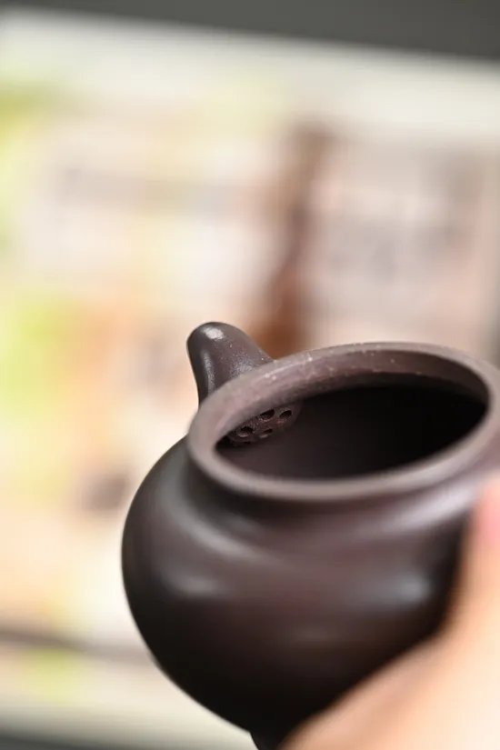 Premium Yixing Zisha Teapot - Handcrafted by National Artisan Chen Huajun 9