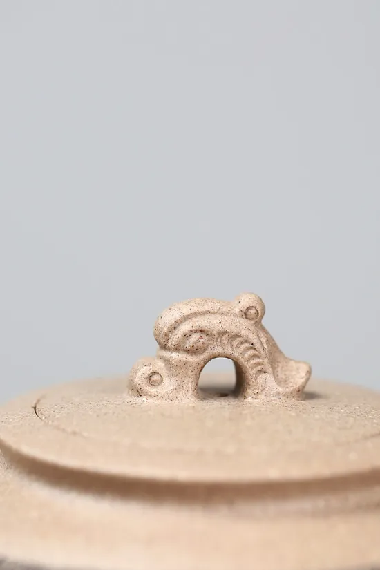 Yixing Clay Teapot | Artisan Dragon Zisha Teapot 00cc 2