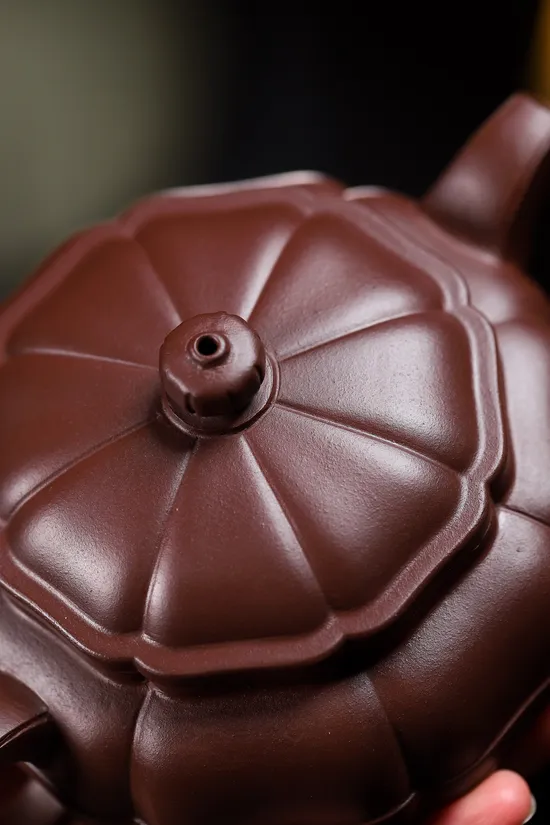Premium Yixing Zisha Clay Teapot | Handcrafted Artisan Collection 6
