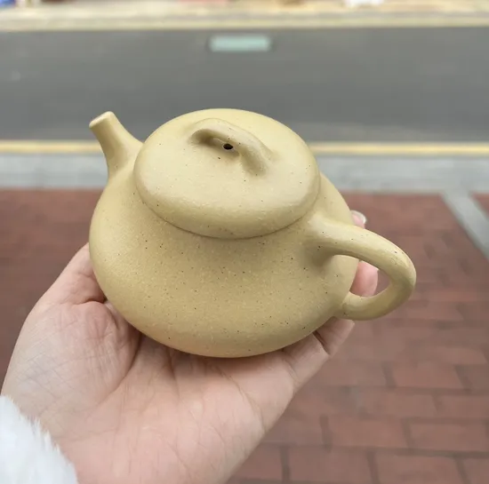 Premium Handcrafted Yixing Clay Teapot | Artisan Zisha Pottery 1