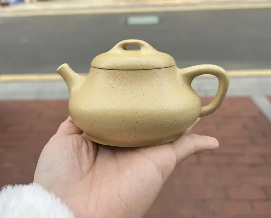 Premium Handcrafted Yixing Clay Teapot | Artisan Zisha Pottery 3