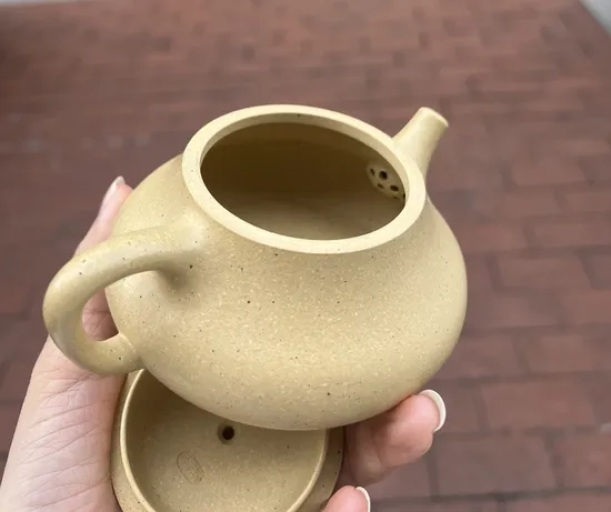 Premium Handcrafted Yixing Clay Teapot | Artisan Zisha Pottery 9