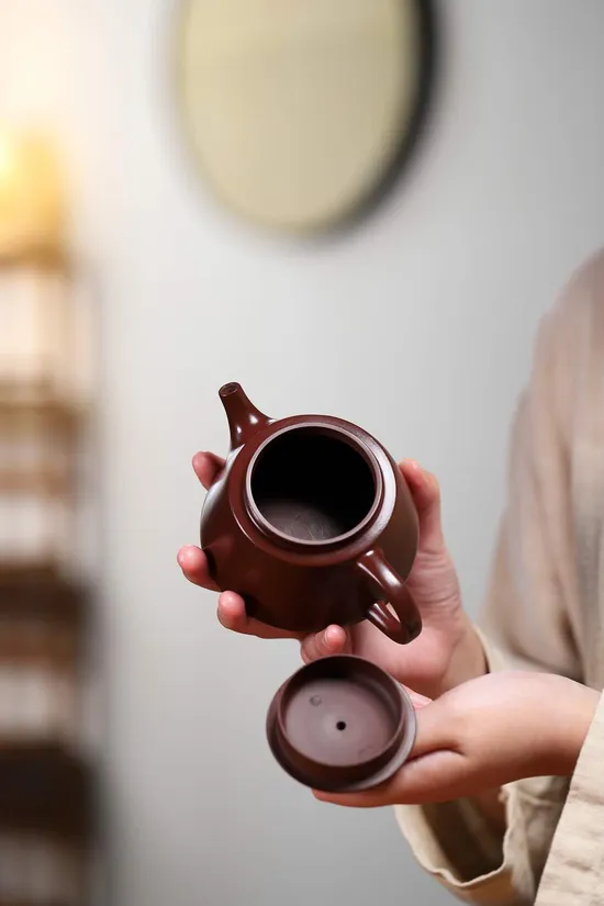 Yu Zhao Zisha Teapot - Artisan Crafted Yixing Clay Pottery 2