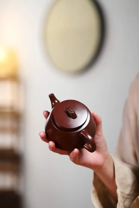 Yu Zhao Zisha Teapot - Artisan Crafted Yixing Clay Pottery 4