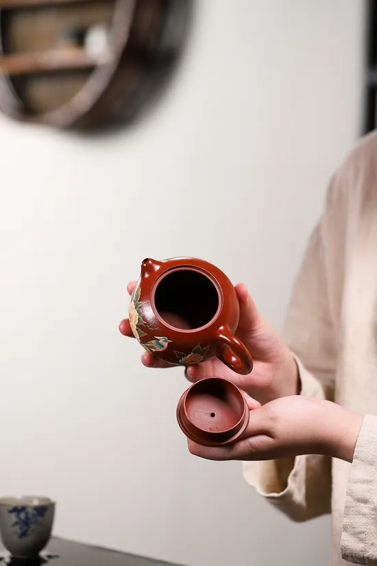 Zisha Teapots: Da Hong Pao clay | Xishi Teapot 3