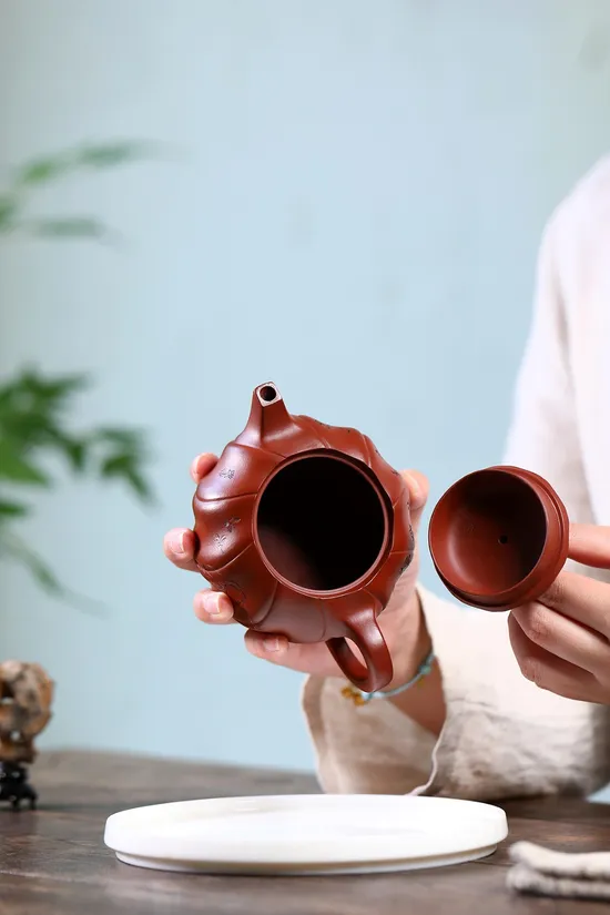 Premium Yixing Zisha Teapot | Handcrafted Clay Artistry 2