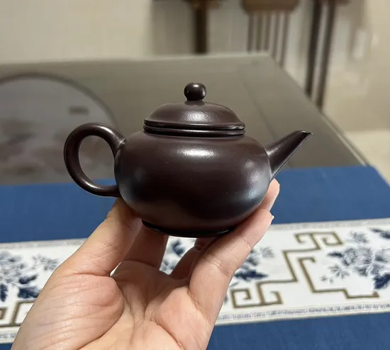 Premium Yixing Clay Teapot | Handcrafted, 110cc, Classic Design 2