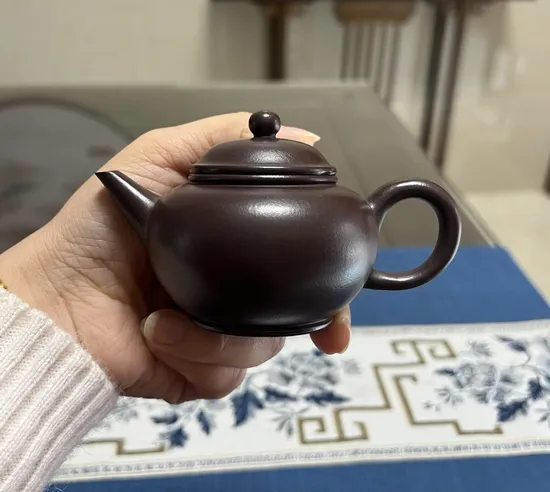 Premium Yixing Clay Teapot | Handcrafted, 110cc, Classic Design 3