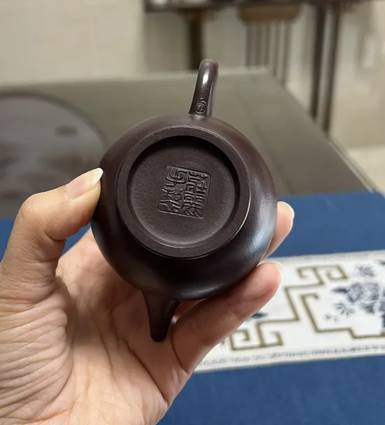 Premium Yixing Clay Teapot | Handcrafted, 110cc, Classic Design 4