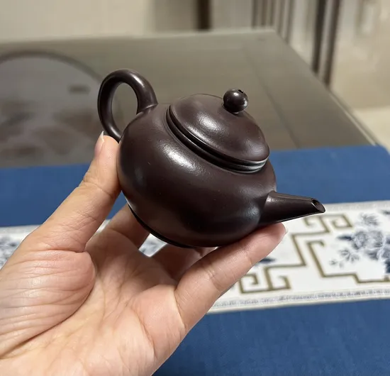 Premium Yixing Clay Teapot | Handcrafted, 110cc, Classic Design 7