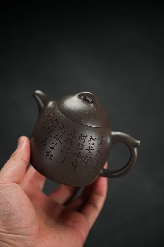 Zisha Teapots: premium Qin Quan clay | 20cc capacity 7
