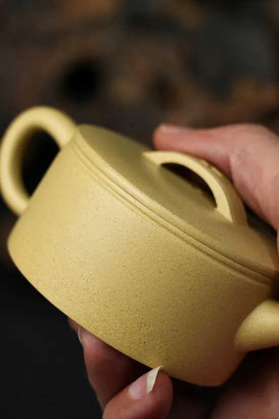 Handmade Yixing Zisha Teapot - Thin-Walled Hanwa Design 4
