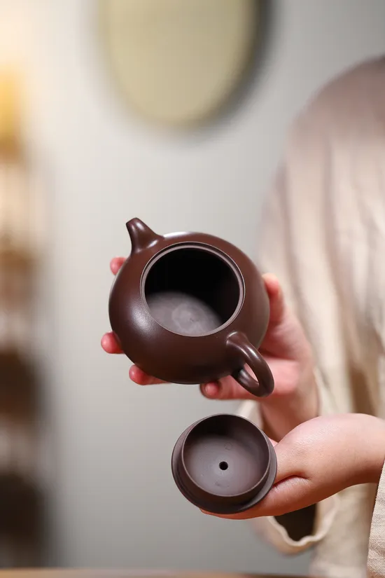 Premium Yixing Zisha Teapot | Handmade Purple Clay Artisan Ceramic 5