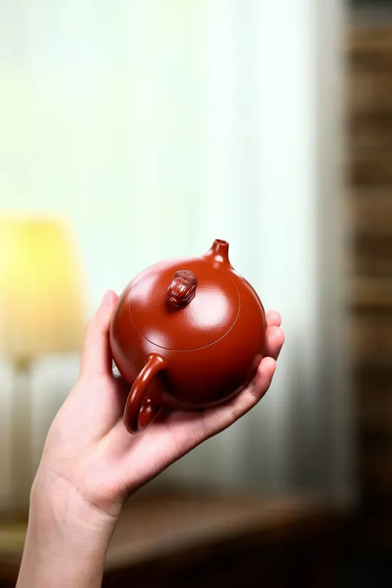 Zisha Teapots: Bai Cai Xi Shi | 900 CNY 5