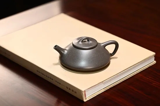 Yixing Zisha Teapot | Handcrafted Qingduan Clay Stoneware Artisan 3