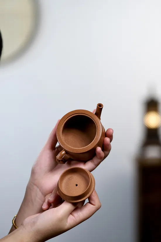 Yixing Zisha Teapot - Artisan Crafted Clay Teapot with Stone Design 2
