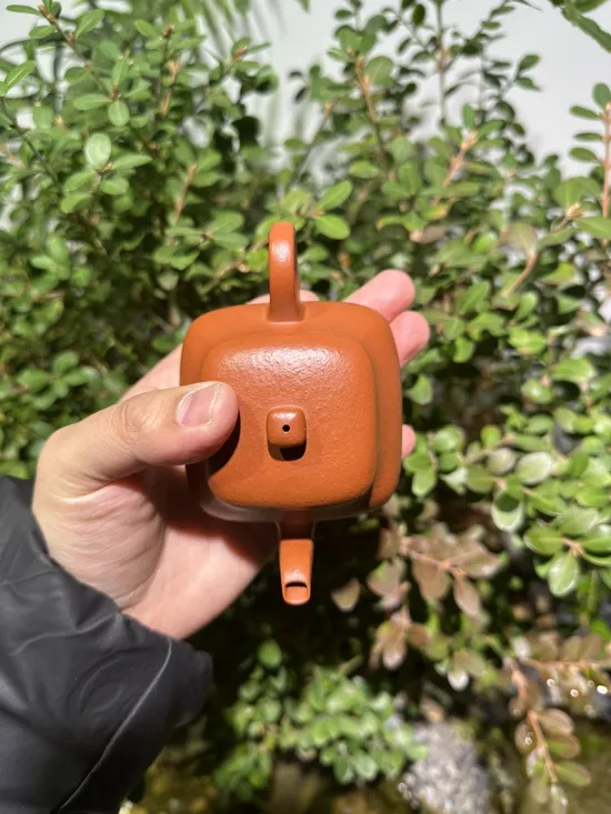 Premium Handmade Yixing Clay Teapot | Jun De by Wang Tao 3