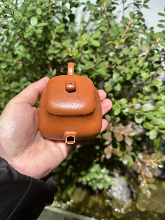 Premium Handmade Yixing Clay Teapot | Jun De by Wang Tao 4