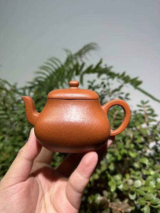 Premium Handmade Yixing Clay Teapot | Jun De by Wang Tao 5