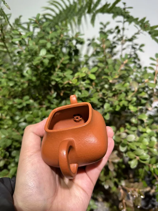 Premium Handmade Yixing Clay Teapot | Jun De by Wang Tao 6