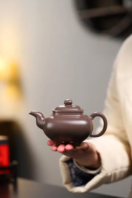 Handcrafted Zisha Teapot - Artisan Yixing Clay Teapot for Tea Lovers 4