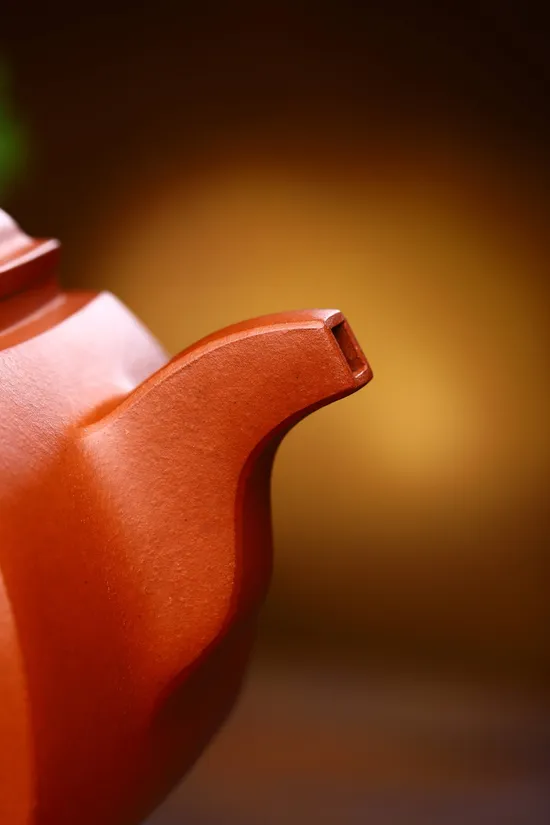 Premium Yixing Zisha Teapot | Handcrafted Artisan Clay Pot Collection 6
