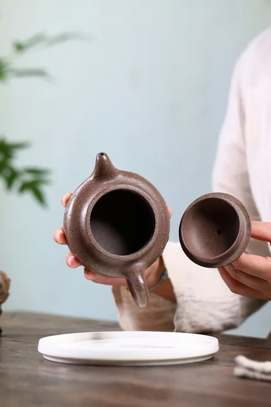 Yixing Teapot Masterpiece - Artisan Crafted Collectible 9
