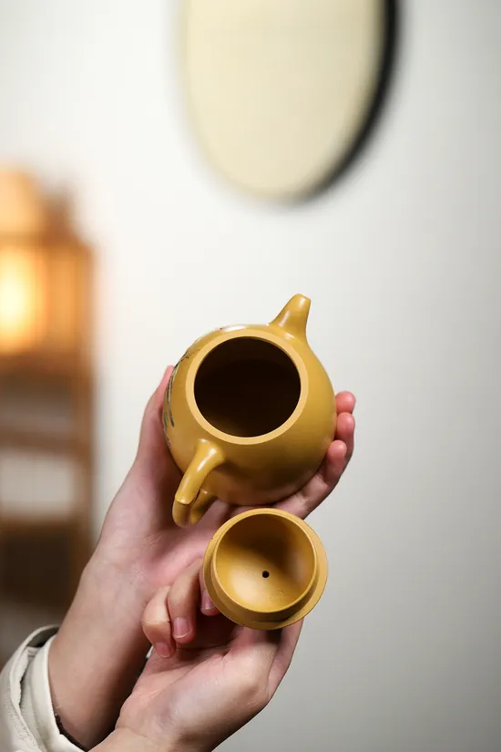 Handcrafted Yixing Clay Teapot | Artisan Zisha Teapot & Collection 3